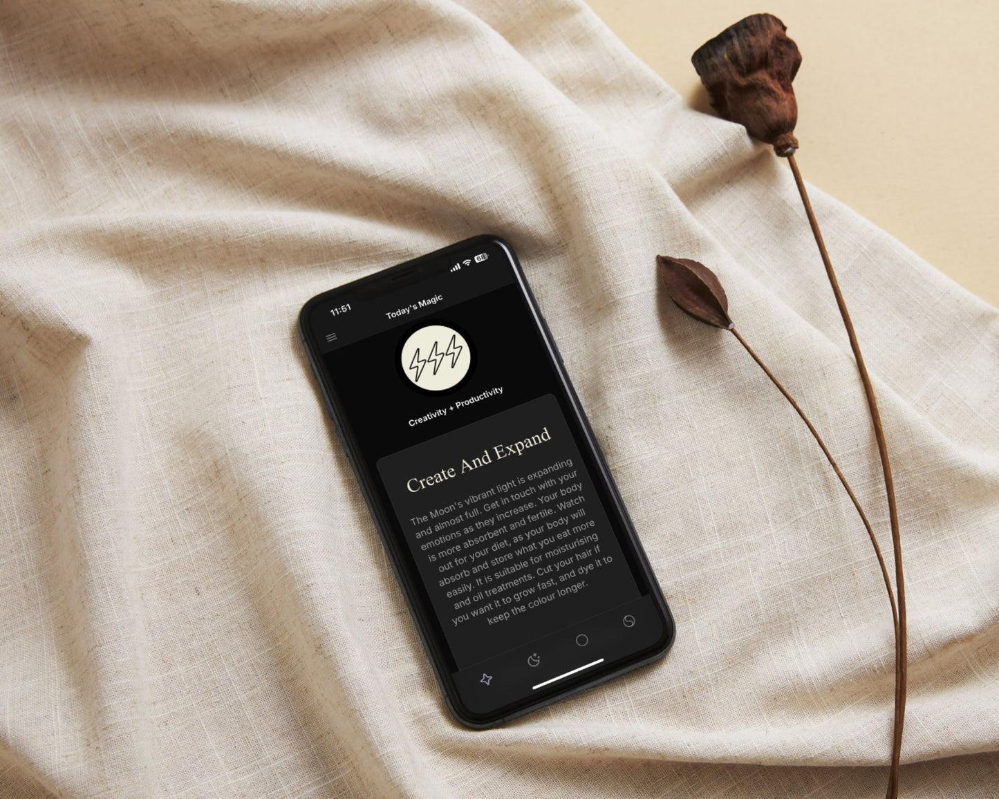 The Moon Flow 2025 App