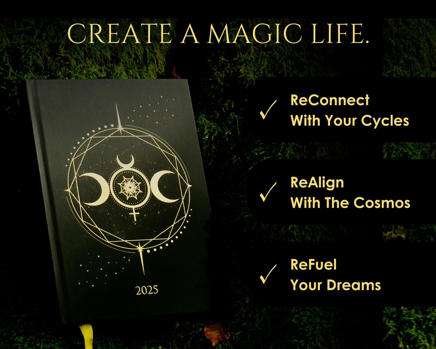 2025 Cosmoplanner