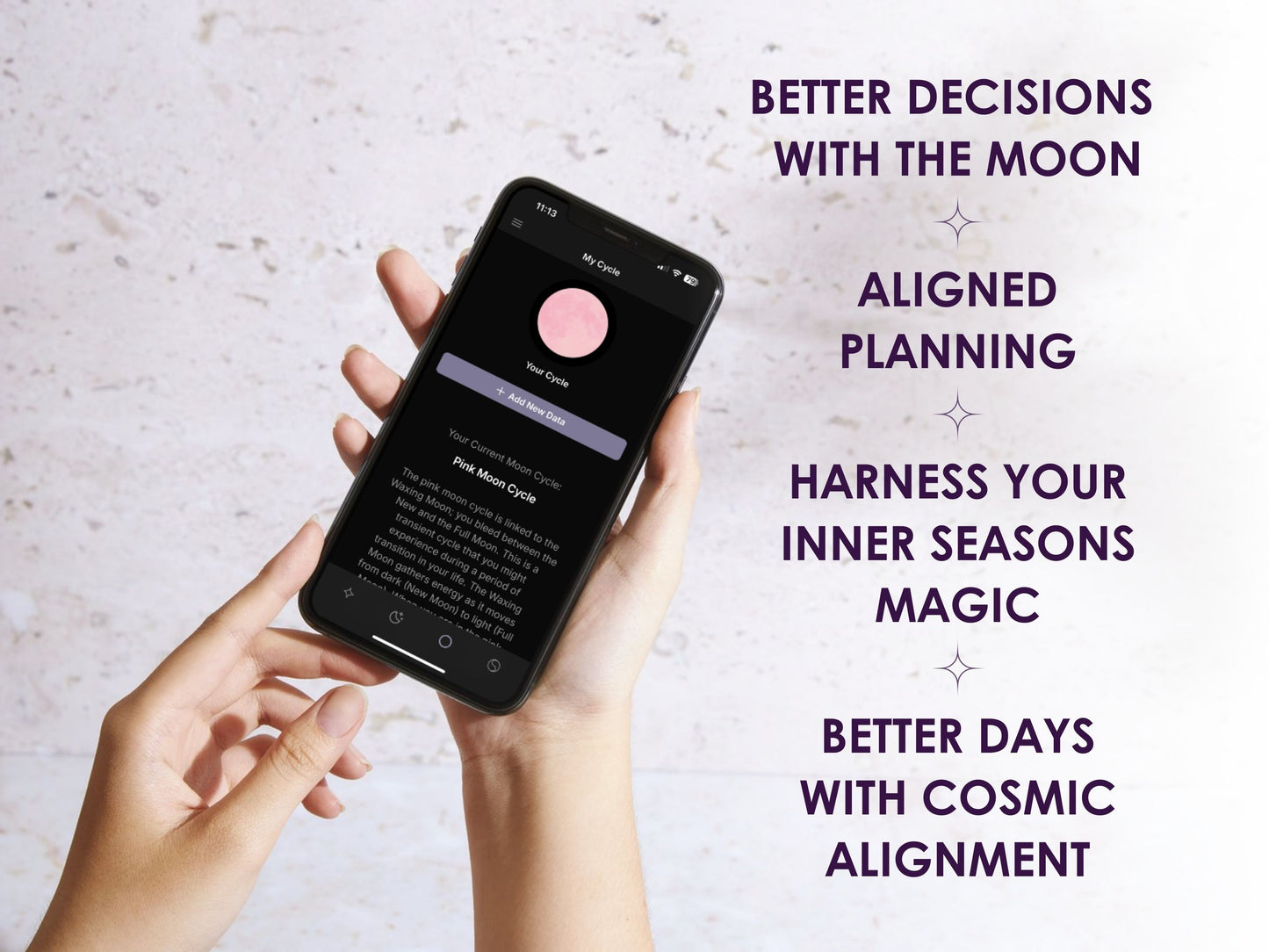 2026 The Big Cosmic Bundle