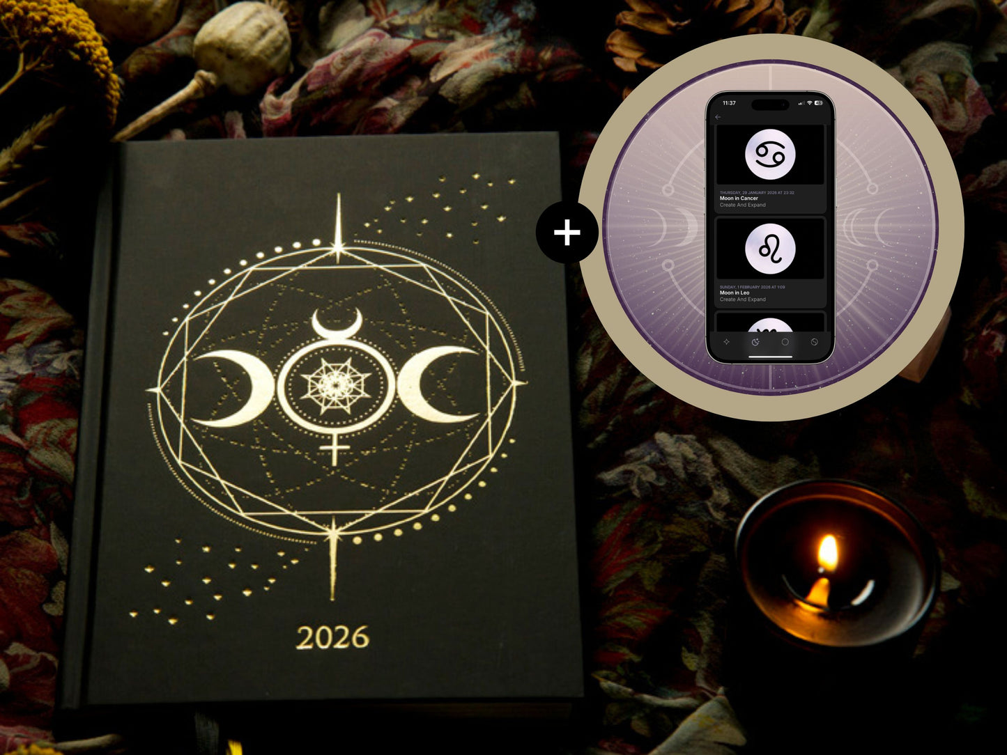 2026 The Big Cosmic Bundle