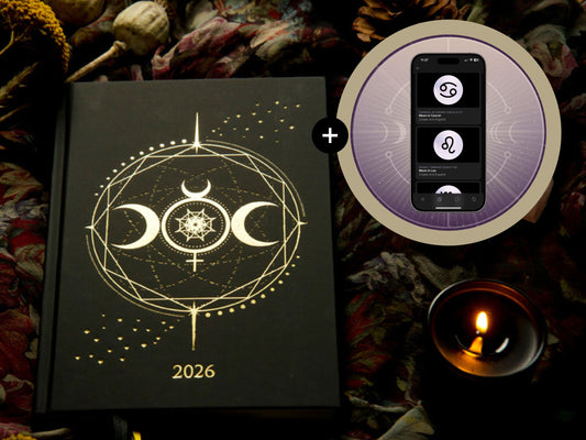 2026 The Big Cosmic Bundle