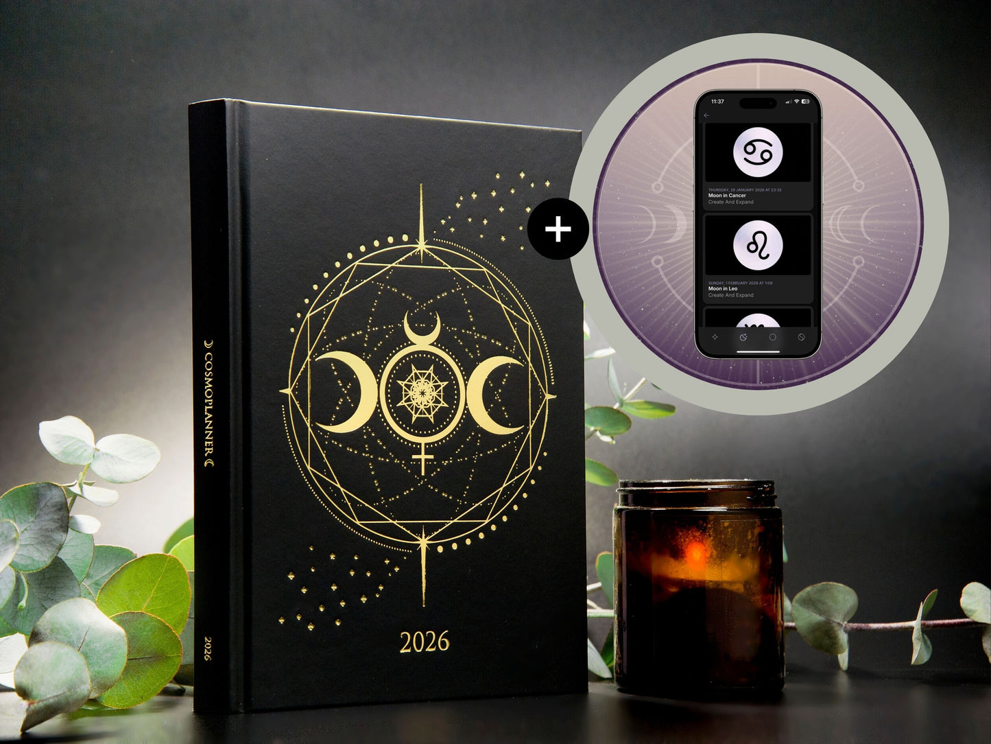 2026 The Big Cosmic Bundle