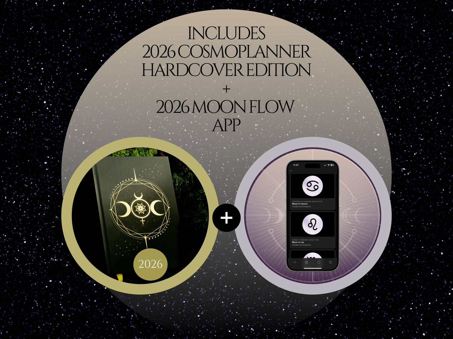 2026 The Big Cosmic Bundle