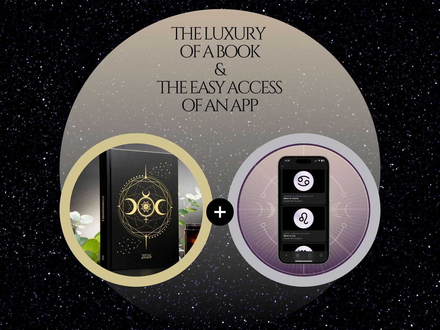 2026 The Big Cosmic Bundle