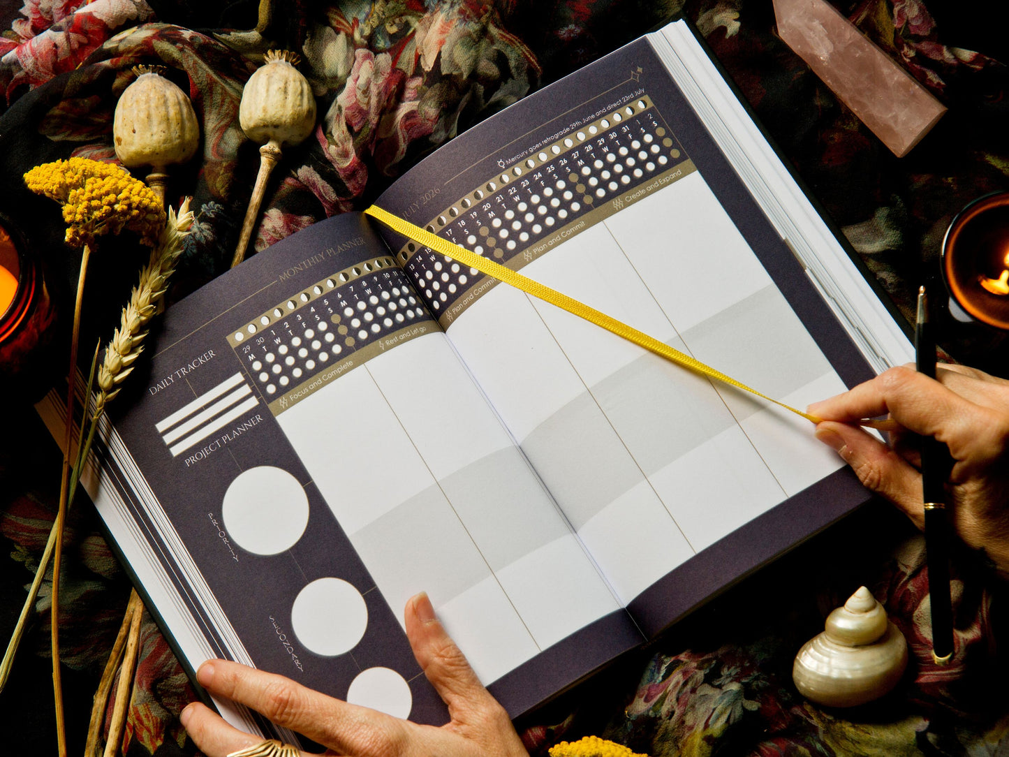 2026 The Big Cosmic Bundle