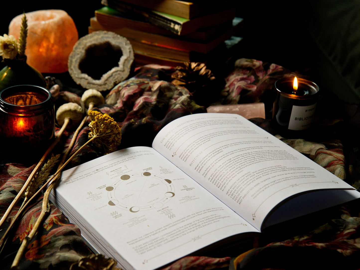 2026 The Big Cosmic Bundle