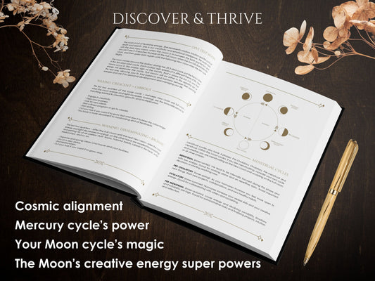 2026 The Big Cosmic Bundle