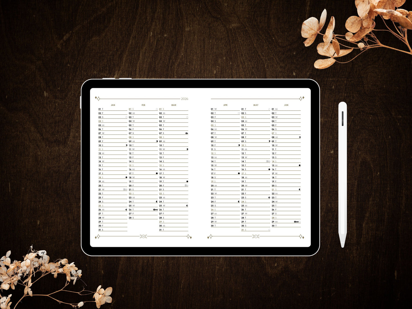 2026 Digital PDF Cosmoplanner