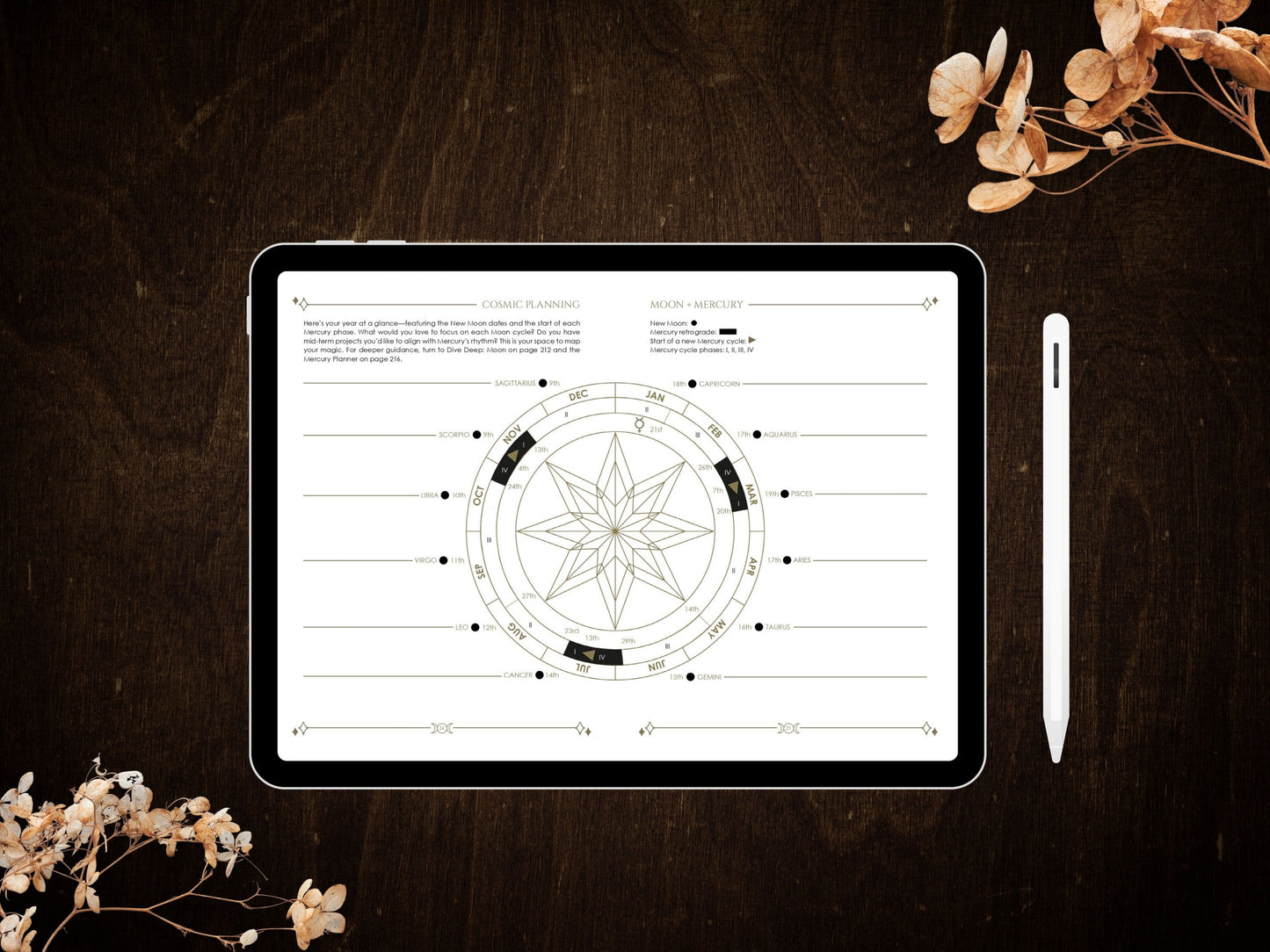 2026 Digital PDF Cosmoplanner