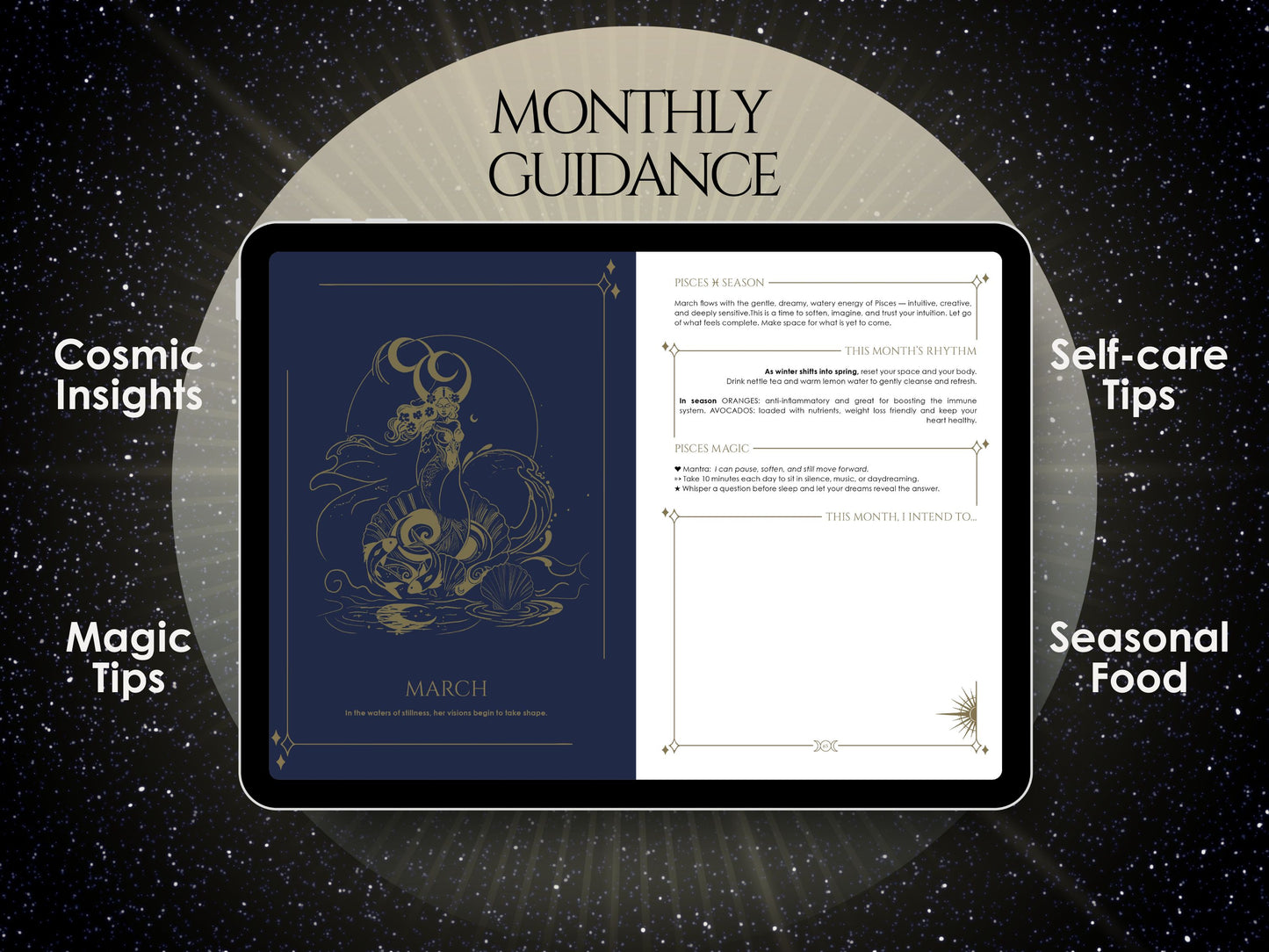 2027 Cosmoplanner Digital Planner